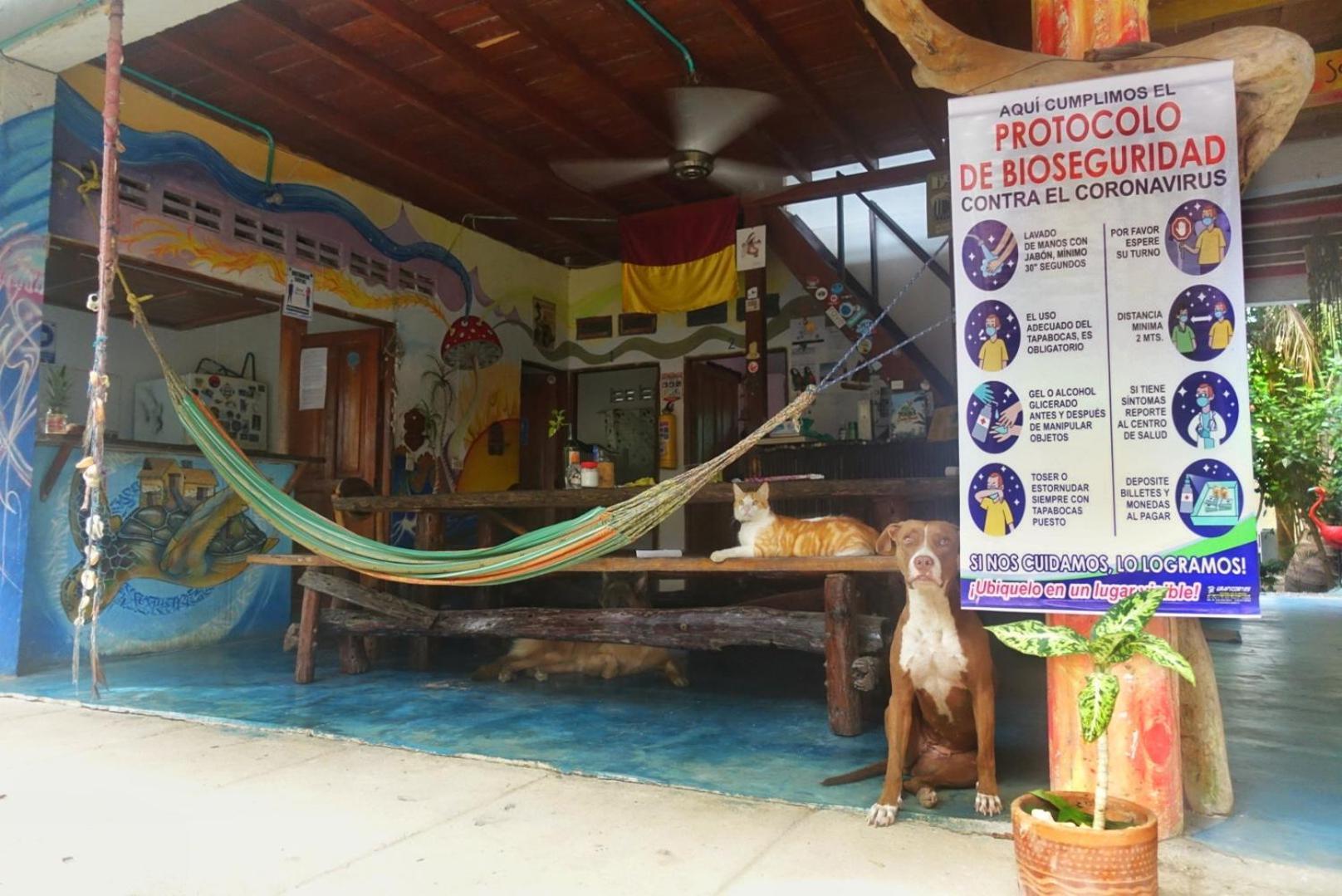Casa Surf Mar Azul Hotel Palomino Buitenkant foto